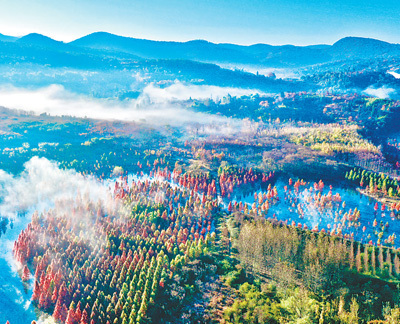 code_ynrb7b20d806-9cf4-4e12-a5b3-62778146c3e2 code_ynrb7b20d806-9cf4-4e12-a5b3-62778146c3e2