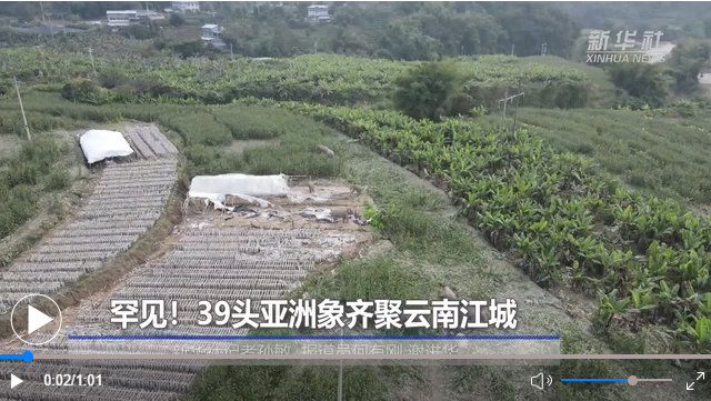 微信圖片_20211221103724