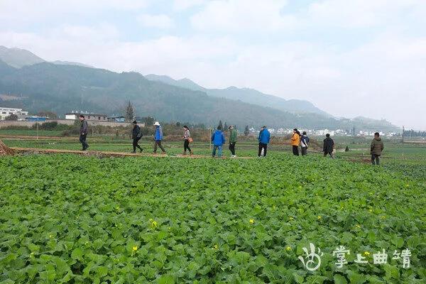 羅平油菜花海下發(fā)現(xiàn)東漢墓群！