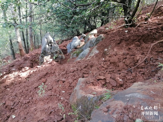 云南發(fā)現(xiàn)2個(gè)塊菌新種(通訊員 萬(wàn)山平 攝)