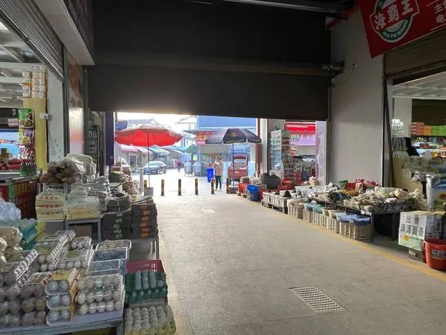 20211215174856768 20211215174856768