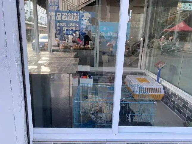 202112151748575214 202112151748575214