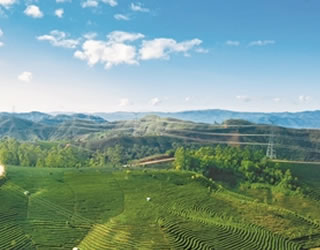 00304359163_75e69c44 00304359163_75e69c44