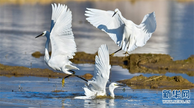 1310385042_16400734989241n 1310385042_16400734989241n