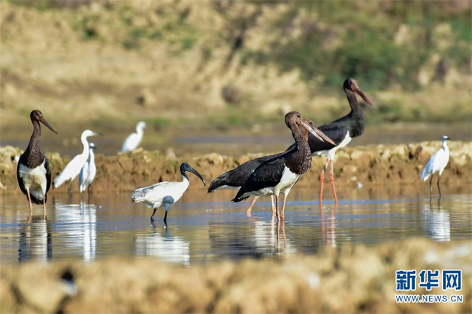 1310385042_16400734990931n 1310385042_16400734990931n