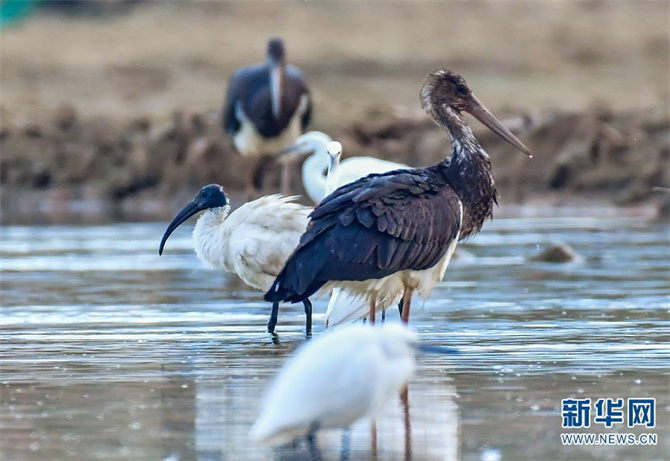 1310385042_16400734991461n 1310385042_16400734991461n