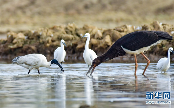 1310385042_16400734992061n 1310385042_16400734992061n