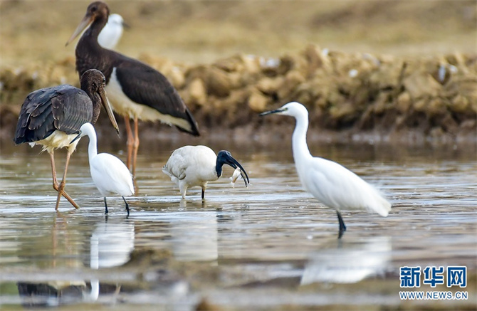 1310385042_16400734992641n 1310385042_16400734992641n