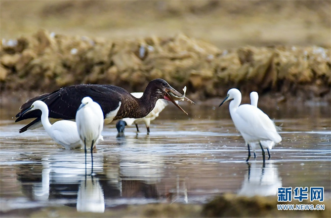 1310385042_16400734993801n 1310385042_16400734993801n