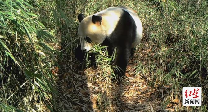 點擊查看高清原圖 點擊查看高清原圖
