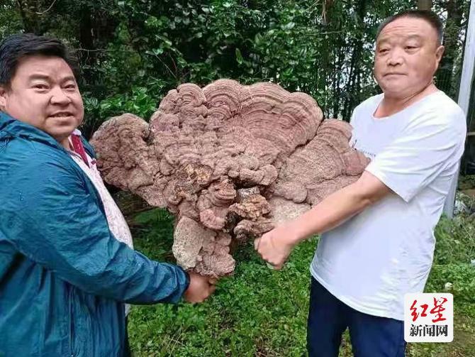 點擊查看高清原圖 點擊查看高清原圖