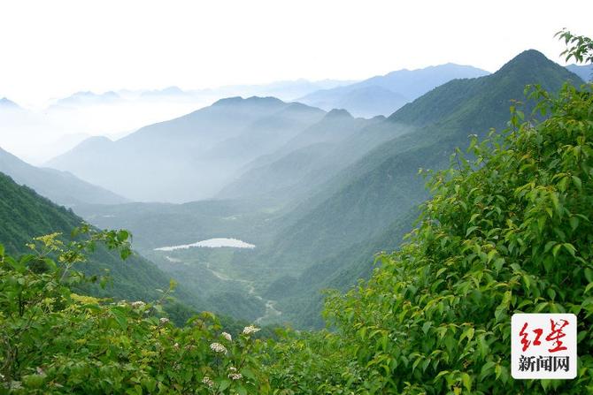 點擊查看高清原圖 點擊查看高清原圖