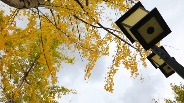 開屏策劃|冬至云南—保山施甸(開屏新聞記者及通訊員 攝)