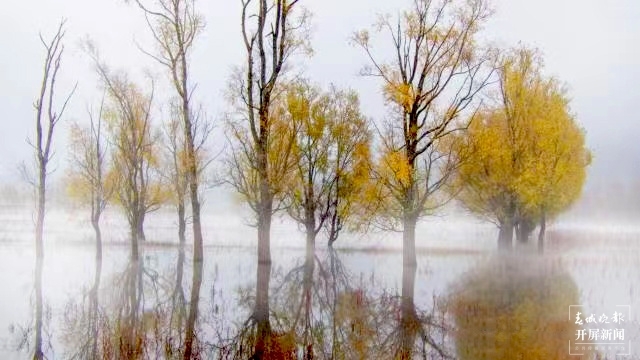 開屏策劃|冬至云南—會澤念湖(開屏新聞記者及通訊員 攝)