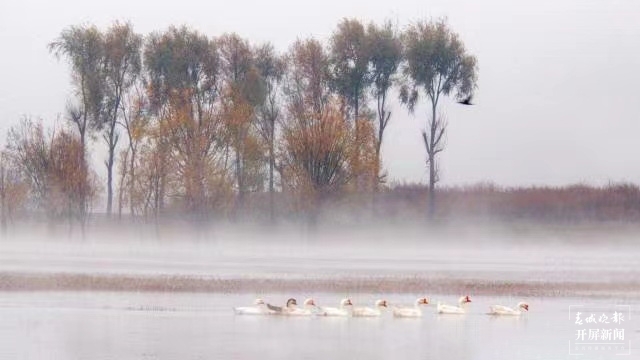 開屏策劃|冬至云南—會澤念湖(開屏新聞記者及通訊員 攝)