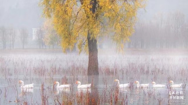 開屏策劃|冬至云南—會澤念湖(開屏新聞記者及通訊員 攝)