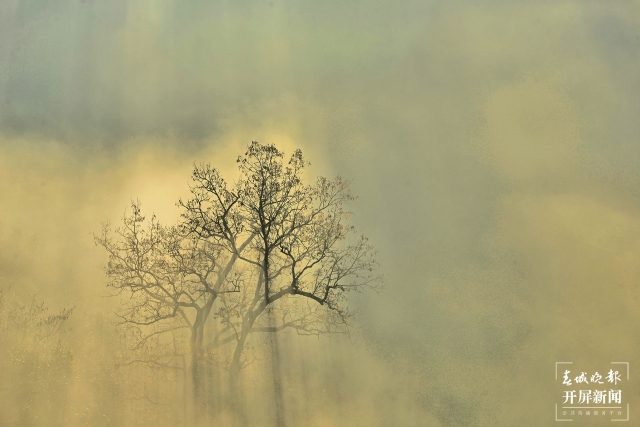 開屏策劃|冬至云南—保山昌寧霧海(開屏新聞記者及通訊員 攝)