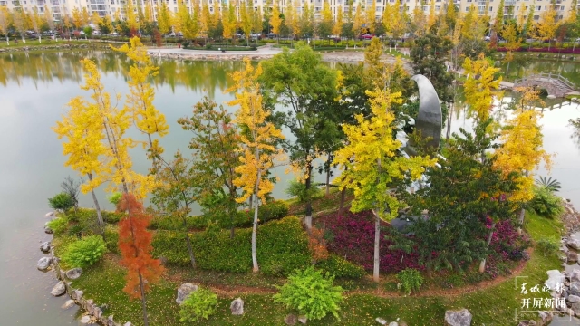 開屏策劃|冬至云南—保山施甸(開屏新聞記者及通訊員 攝)