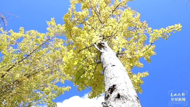 開屏策劃|冬至云南—保山施甸(開屏新聞記者及通訊員 攝)