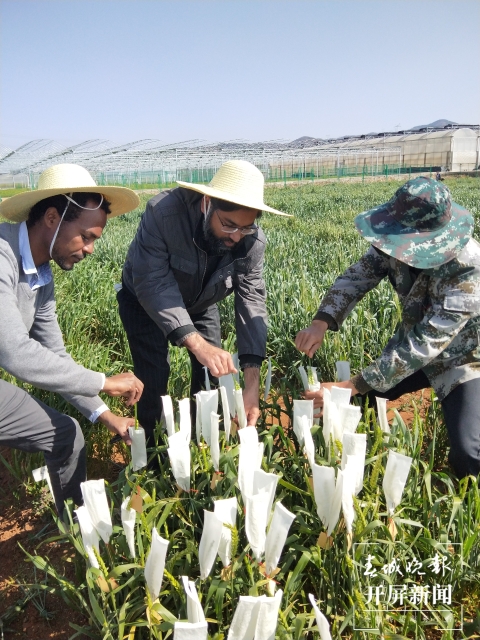國(guó)際杰出青年科學(xué)家學(xué)術(shù)交流研討會(huì)在昆舉行
