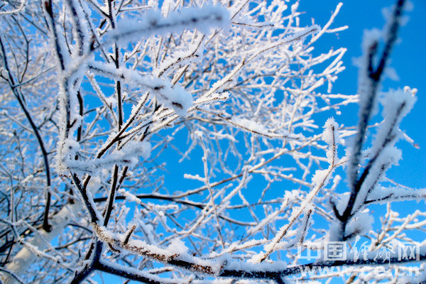 W020211223353851840904 W020211223353851840904