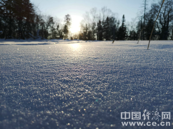 W020211223353851923022 W020211223353851923022