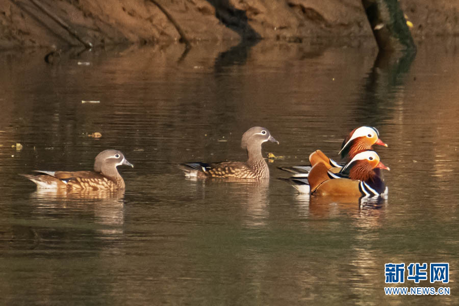 1310389081_16403066706951n