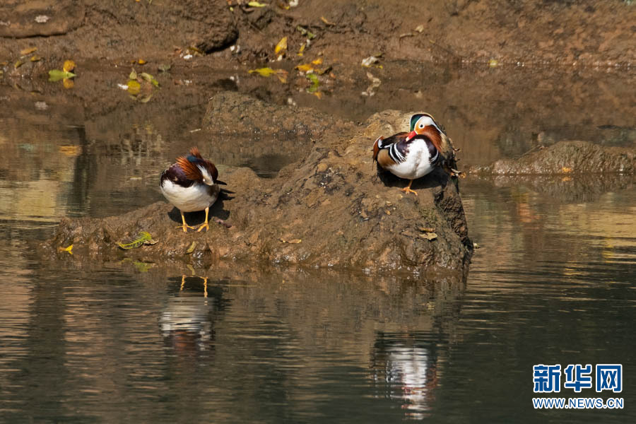 1310389081_16403066707291n