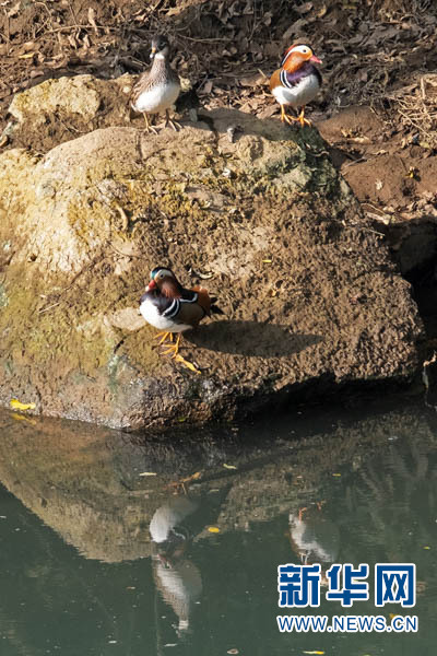 1310389081_16403066709121n