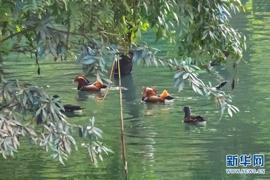 1310389081_16403066709621n