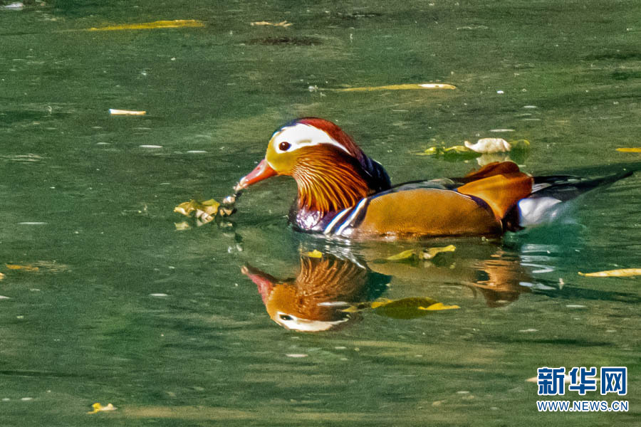 1310389081_16403066710001n