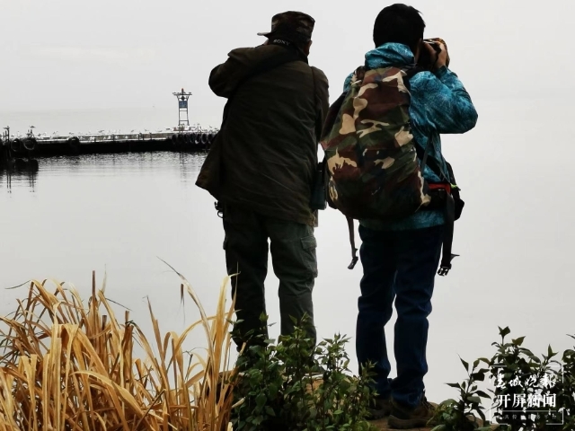 今年到昆海鷗達(dá)44000只 (1).jpg