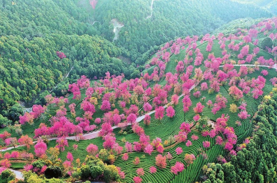 WX20211227-083744@2x