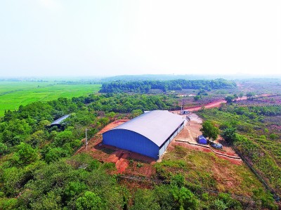 兵“戈”鑒越 兩周“箏”鳴