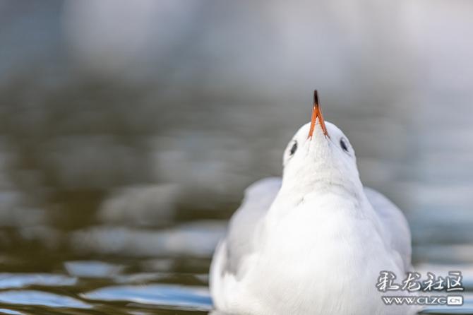 tp7lg3md4al tp7lg3md4al