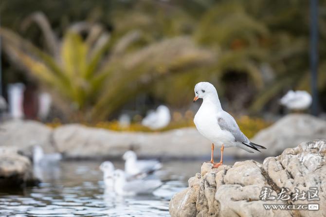 ij2bwat6z8 ij2bwat6z8