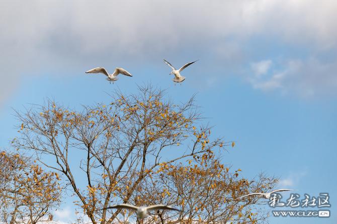 07kfelz878uf 07kfelz878uf