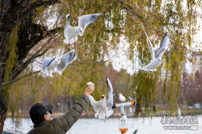 vosb5syrnyi vosb5syrnyi