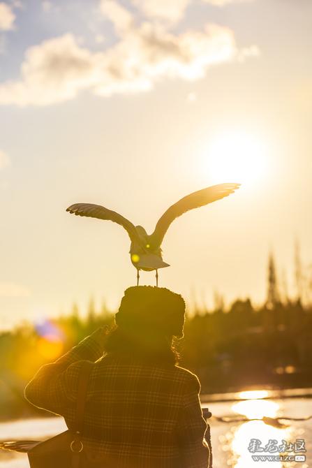 0l9ygxai1dtp 0l9ygxai1dtp