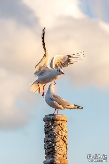 70g59pncgtw 70g59pncgtw