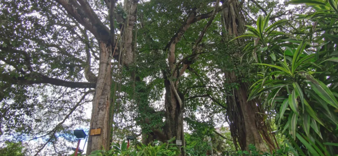 微信圖片_20211227232520