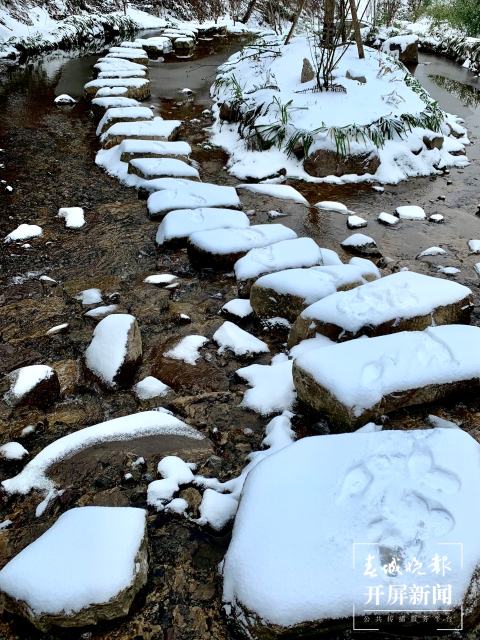 昭通雪景(開屏新聞?dòng)浾?申時(shí)勛 通訊員 白鳥 戴虞夢(mèng) 陳光惠 攝)