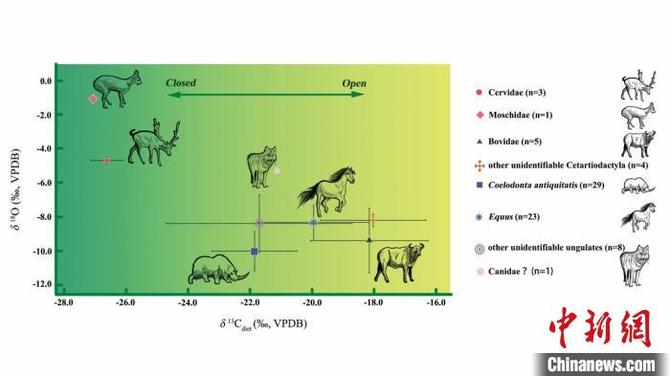 麻地溝遺址動物群生態(tài)位重建。　徐哲 供圖