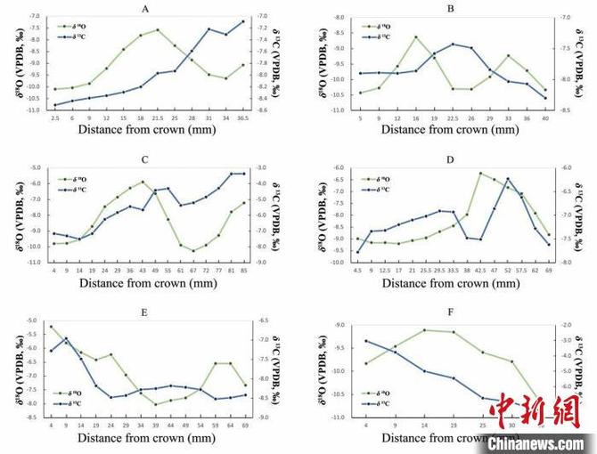 序列取樣的兩類相關(guān)值分布圖?！⌒煺?供圖