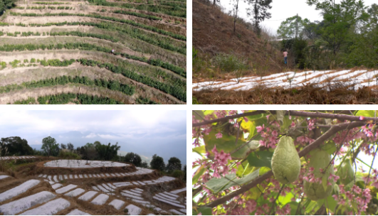 微信圖片_20211228175452 微信圖片_20211228175452