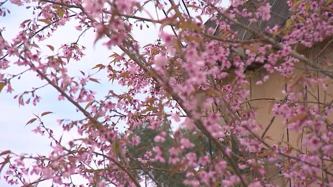 微信圖片_20211228180052 微信圖片_20211228180052