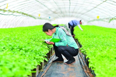 20211229b0007df6672c45beae190074250e636a_res0703_attpic_brief