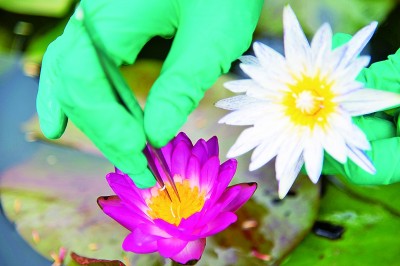 20211229b0007df6672c45beae190074250e636a_res0711_attpic_brief