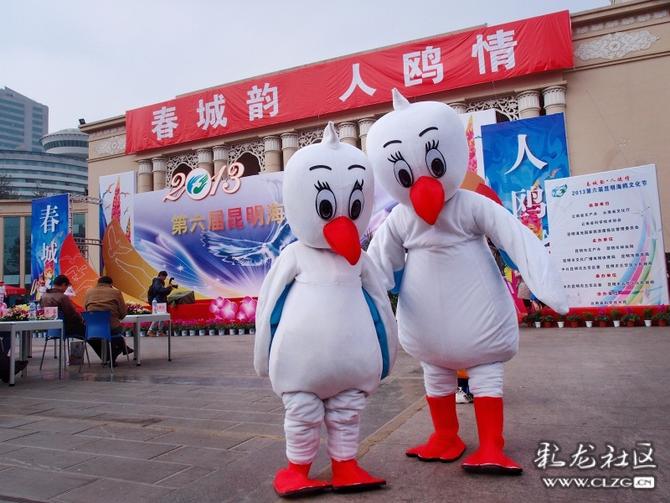 16405297398054591178780088274_5504