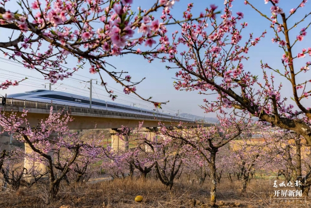 微信圖片_20211229162117